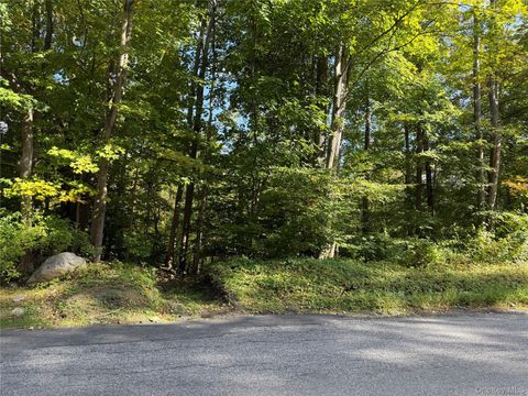 Vacant Land For Sale - Ludington<br/> Putnam County, Carmel, NY 10512