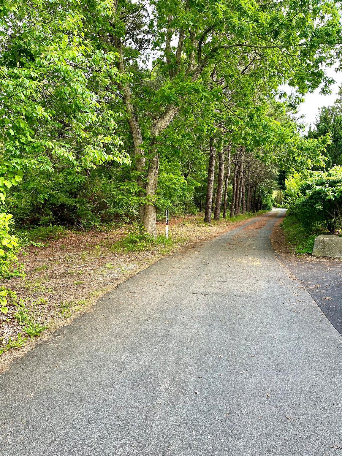 County Road 39, Southampton, Hamptons, NY -  - 