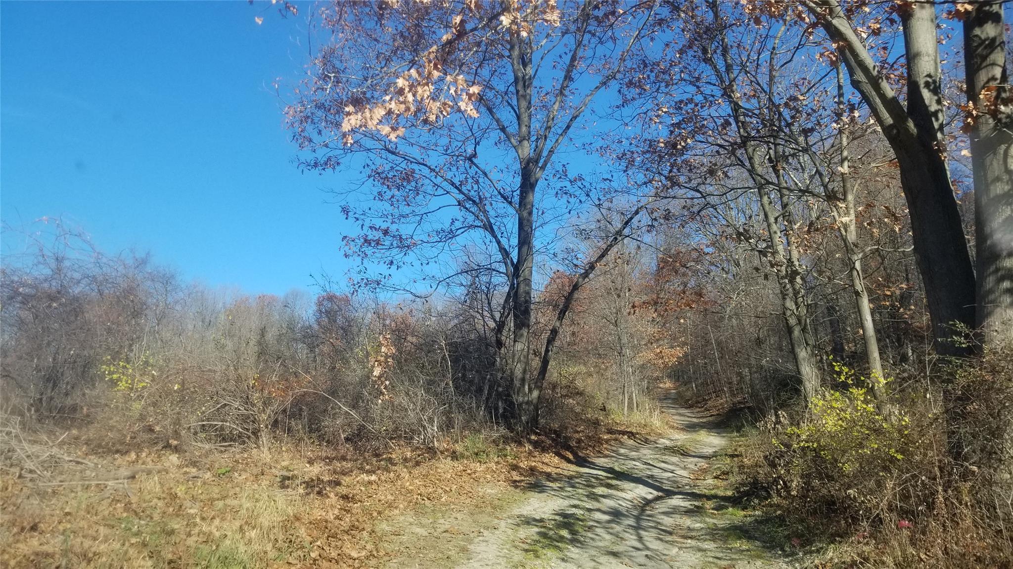 1455 N State Line Road, Westtown, New York image 4