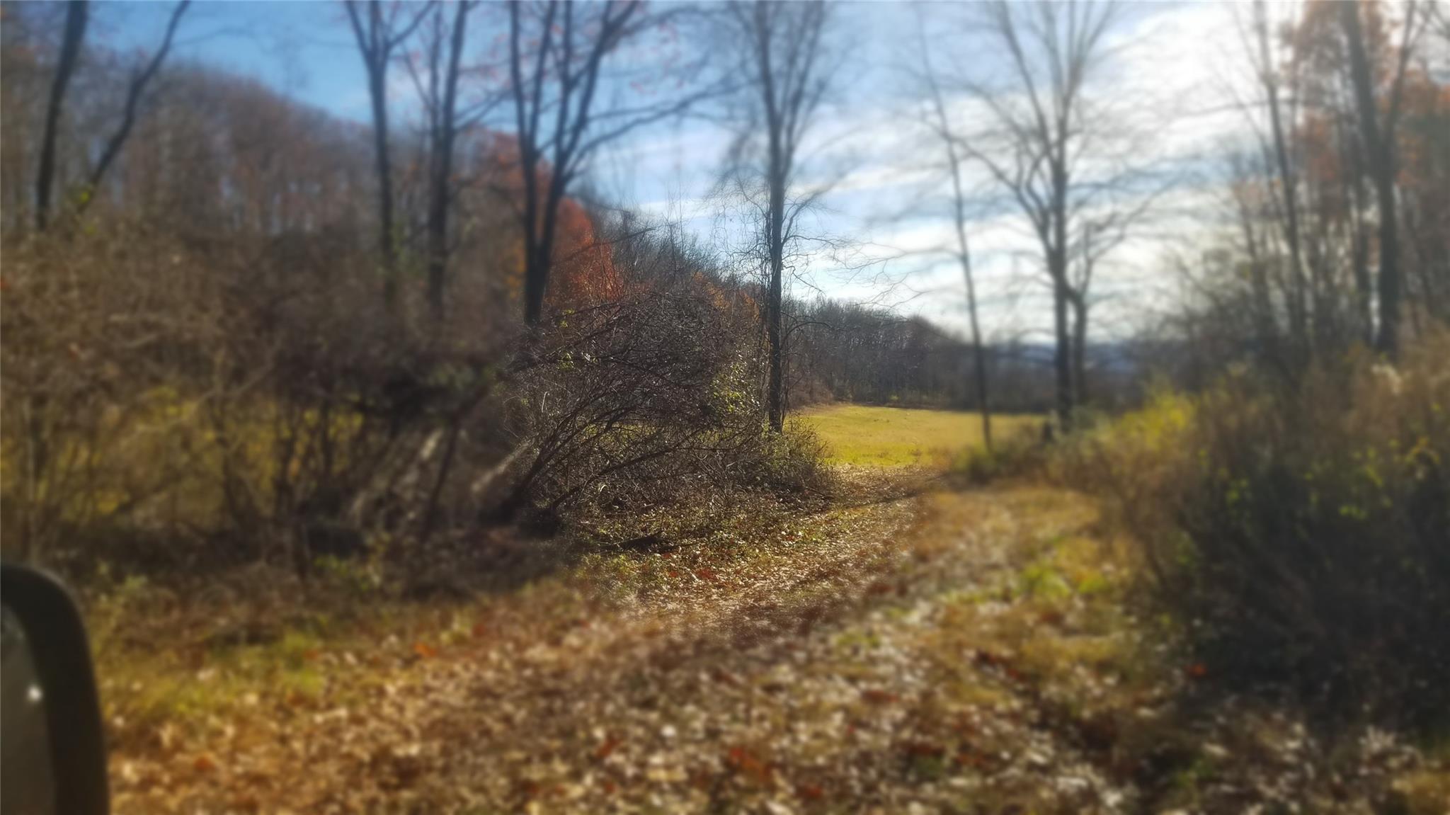 1455 N State Line Road, Westtown, New York image 5