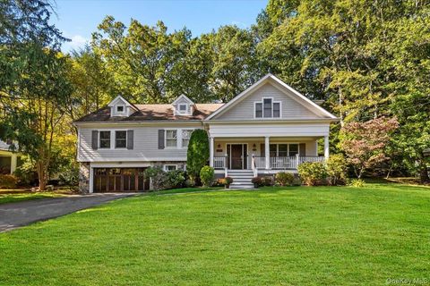 14 Eagles Bluff Rye Brook NY 10573