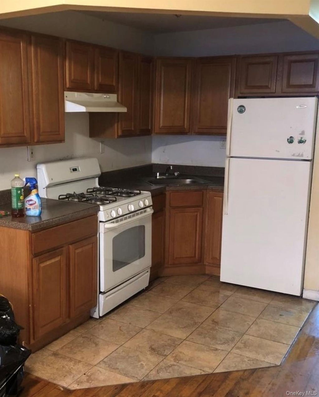 Photo of 1630 Prospect Place, Brooklyn, NY 11233 (MLS # 1056722)