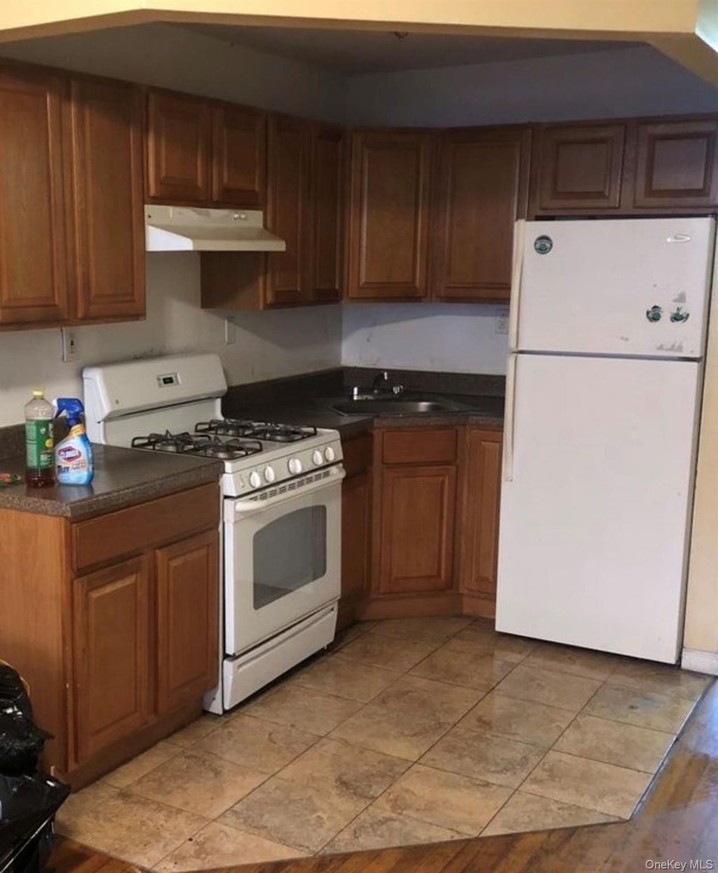 Photo of 1630 Prospect Place, Brooklyn, NY 11233 (MLS # 1056722)