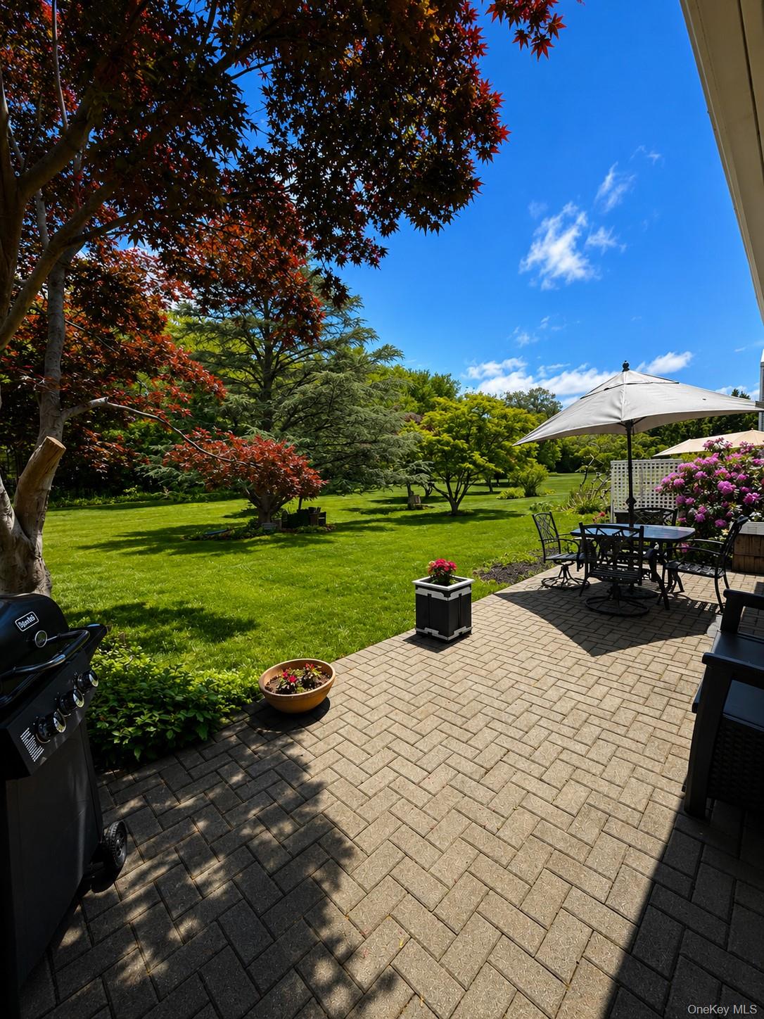 409 Elton Court E