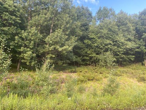 Vacant Land For Sale - 136 Call Hollow Road<br/> Rockland County, Pomona, NY 10970