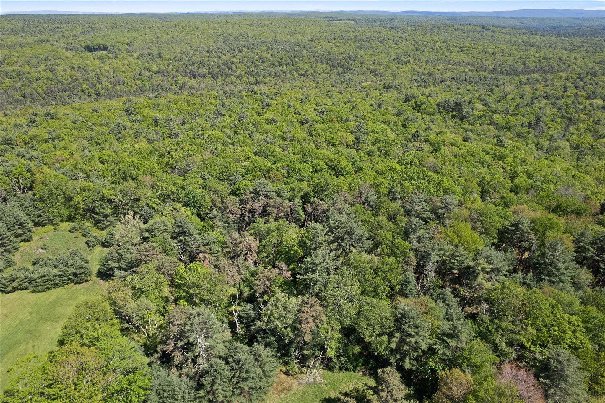 80 Hartwood Club Road, Sparrowbush, New York image 38