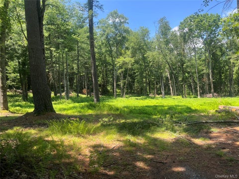 Photo of Geba Drive, Glen Spey, NY 12737 (MLS # 1026541)