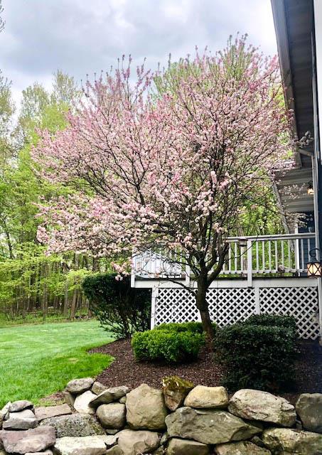 8 Sills Court, Warwick, New York image 32