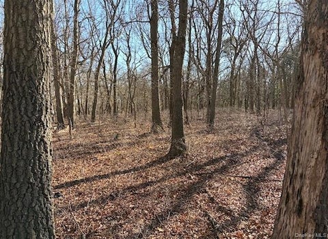Vacant Land For Sale - Woodlot Road<br/> Ridge, NY 11961
