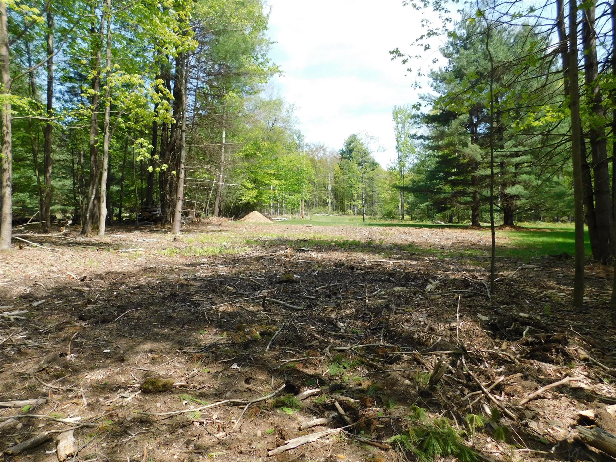 Lackawack Hill Road, Napanoch, New York image 7