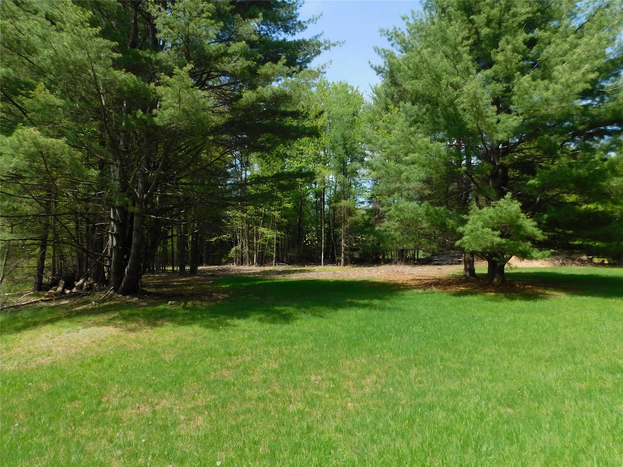 Lackawack Hill Road, Napanoch, New York image 4