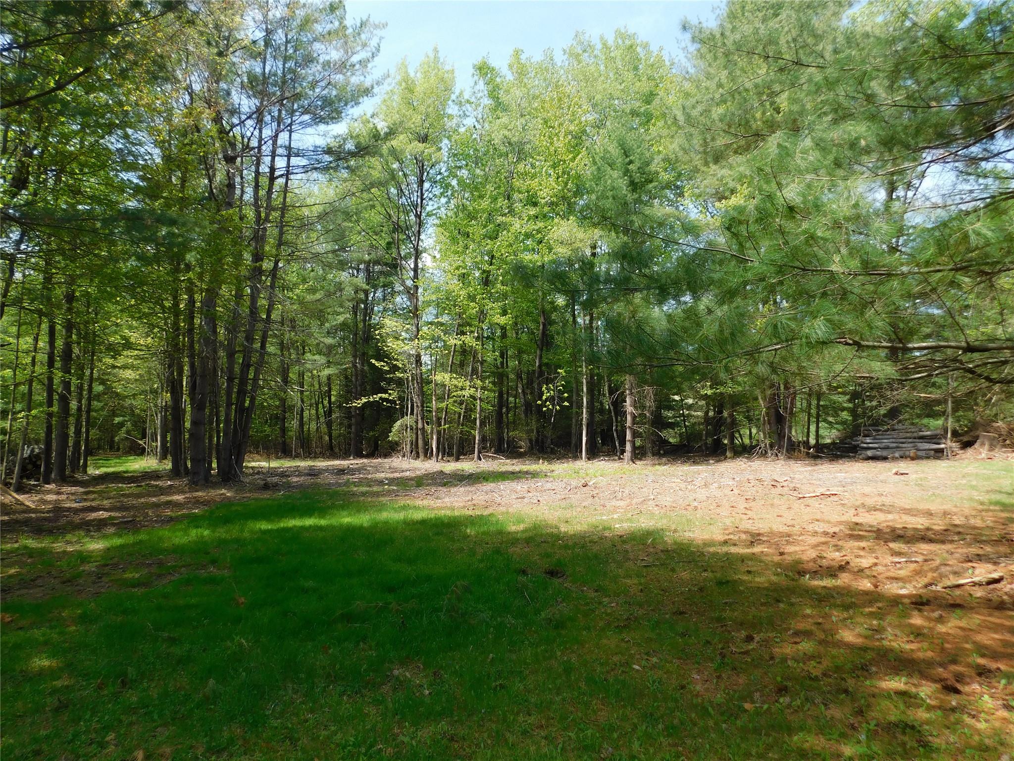 Lackawack Hill Road, Napanoch, New York image 5