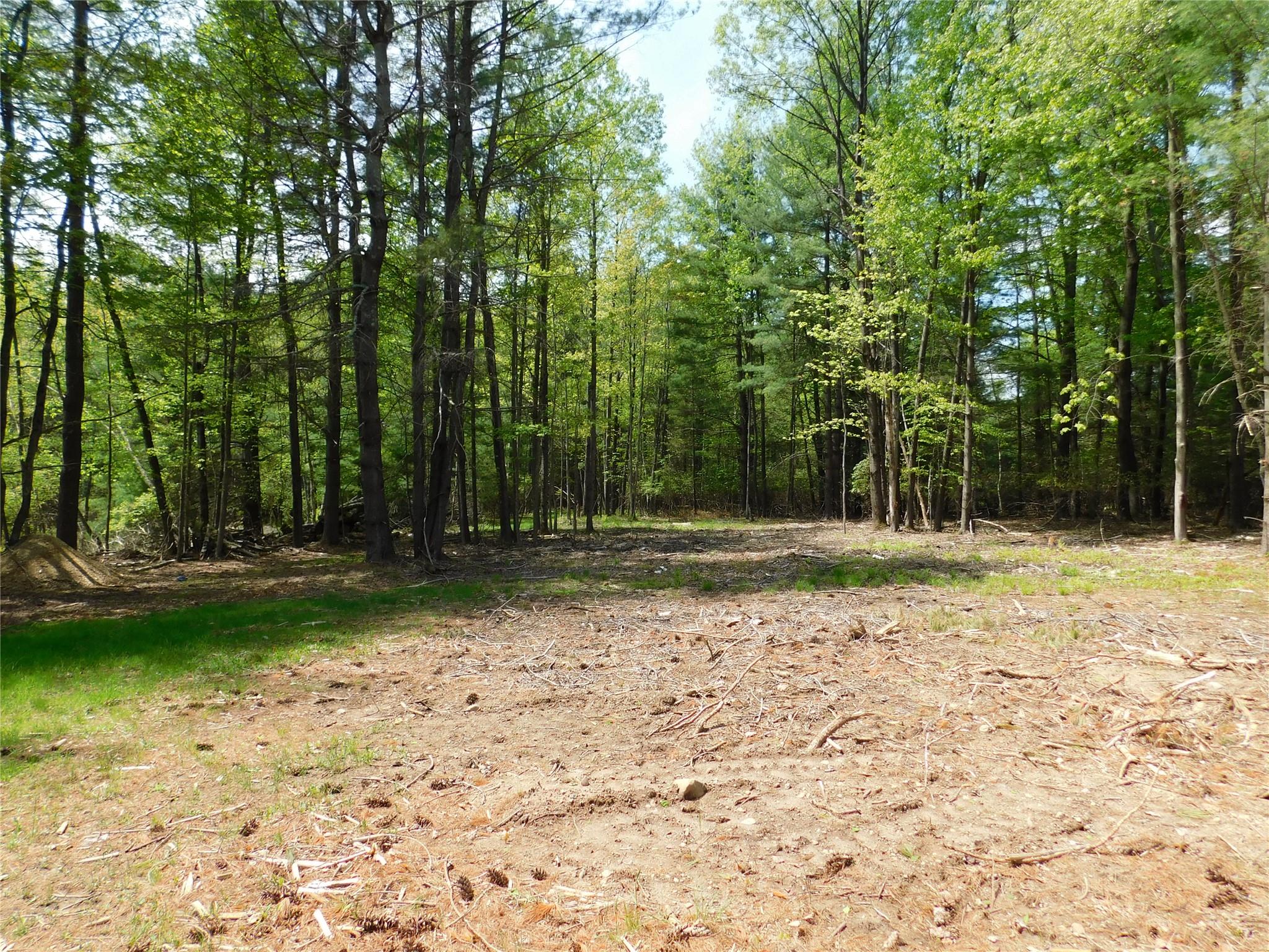 Lackawack Hill Road, Napanoch, New York image 6