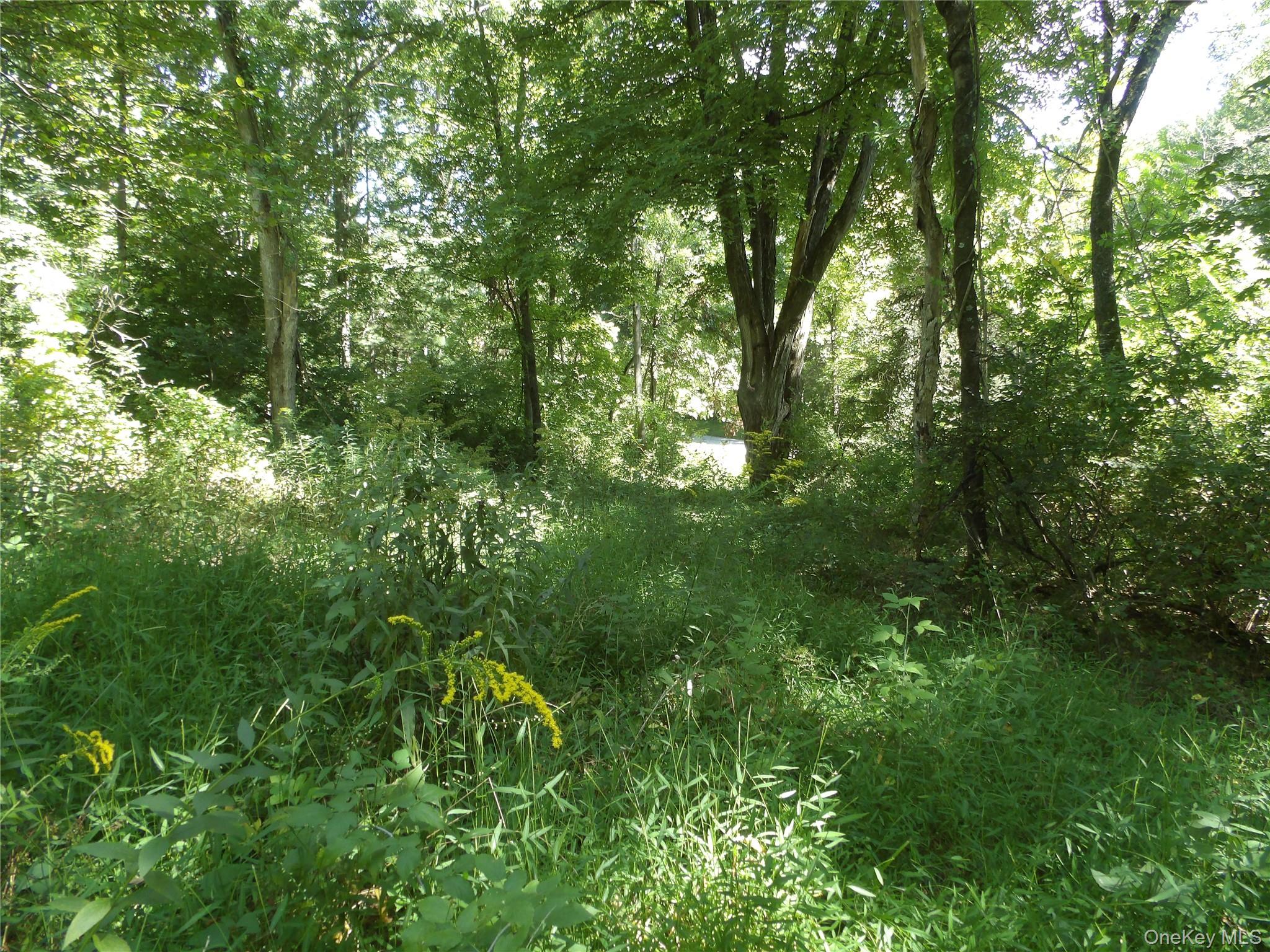 24 Hill Lane