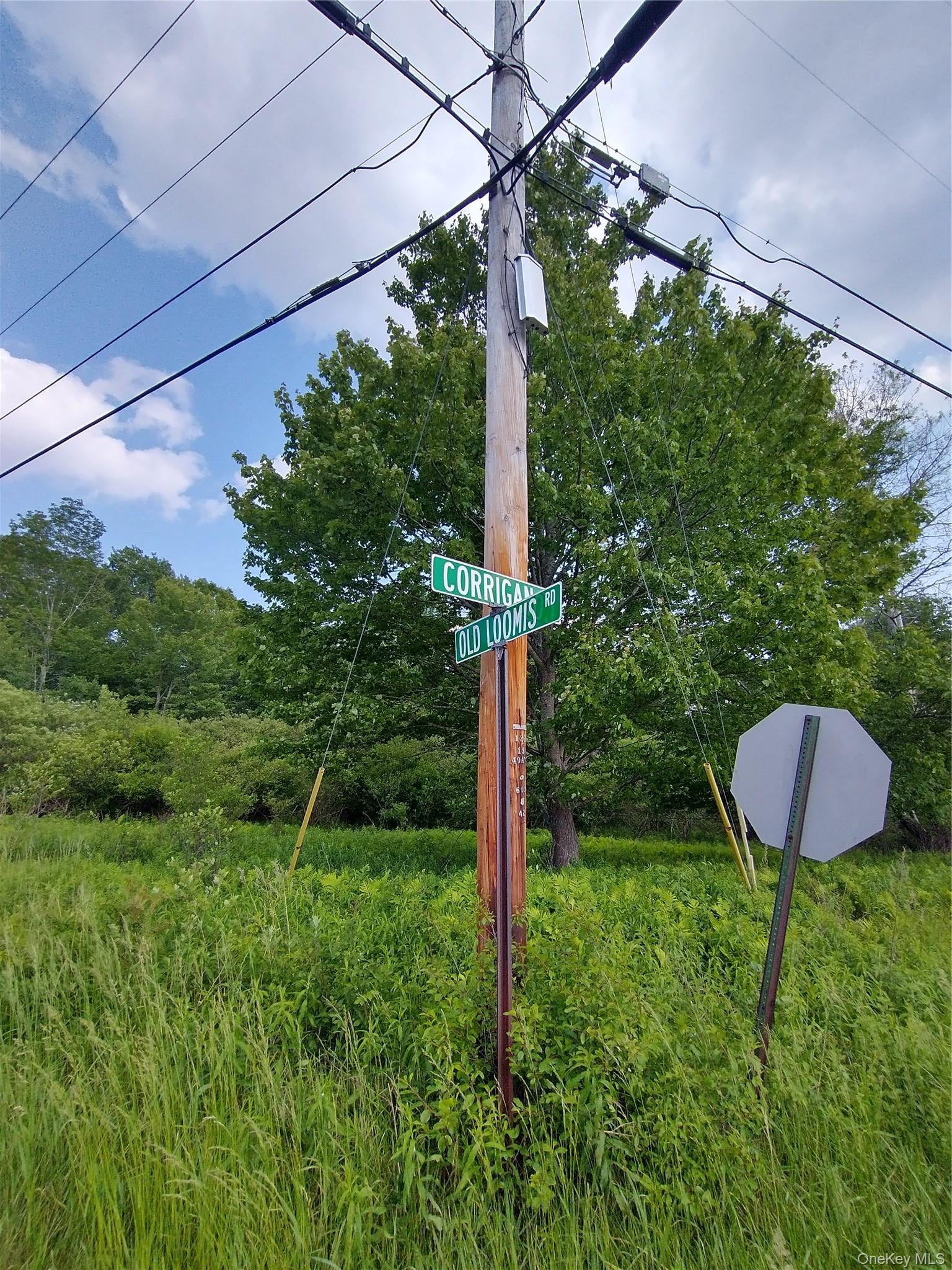 Old Loomis Road