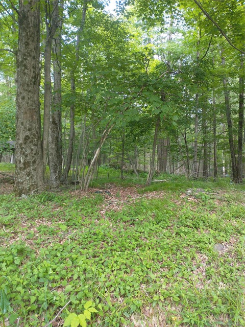 Vacant Land For Sale - Old Loomis Road<br/> Liberty, NY 12734