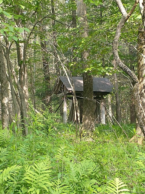 Vacant Land For Sale - Old Loomis Road<br/> Liberty, NY 12734