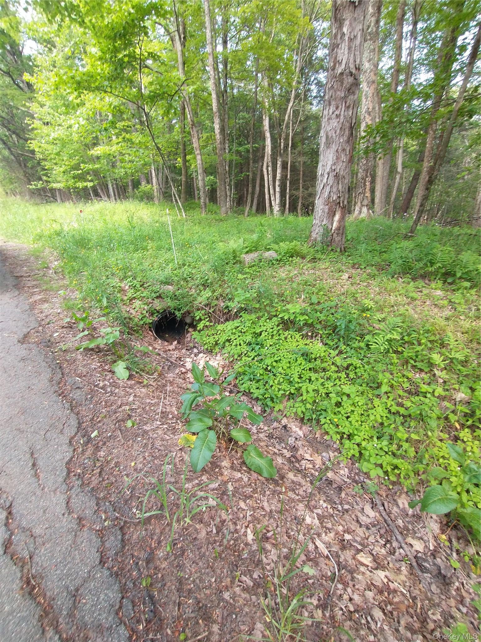 Old Loomis Road