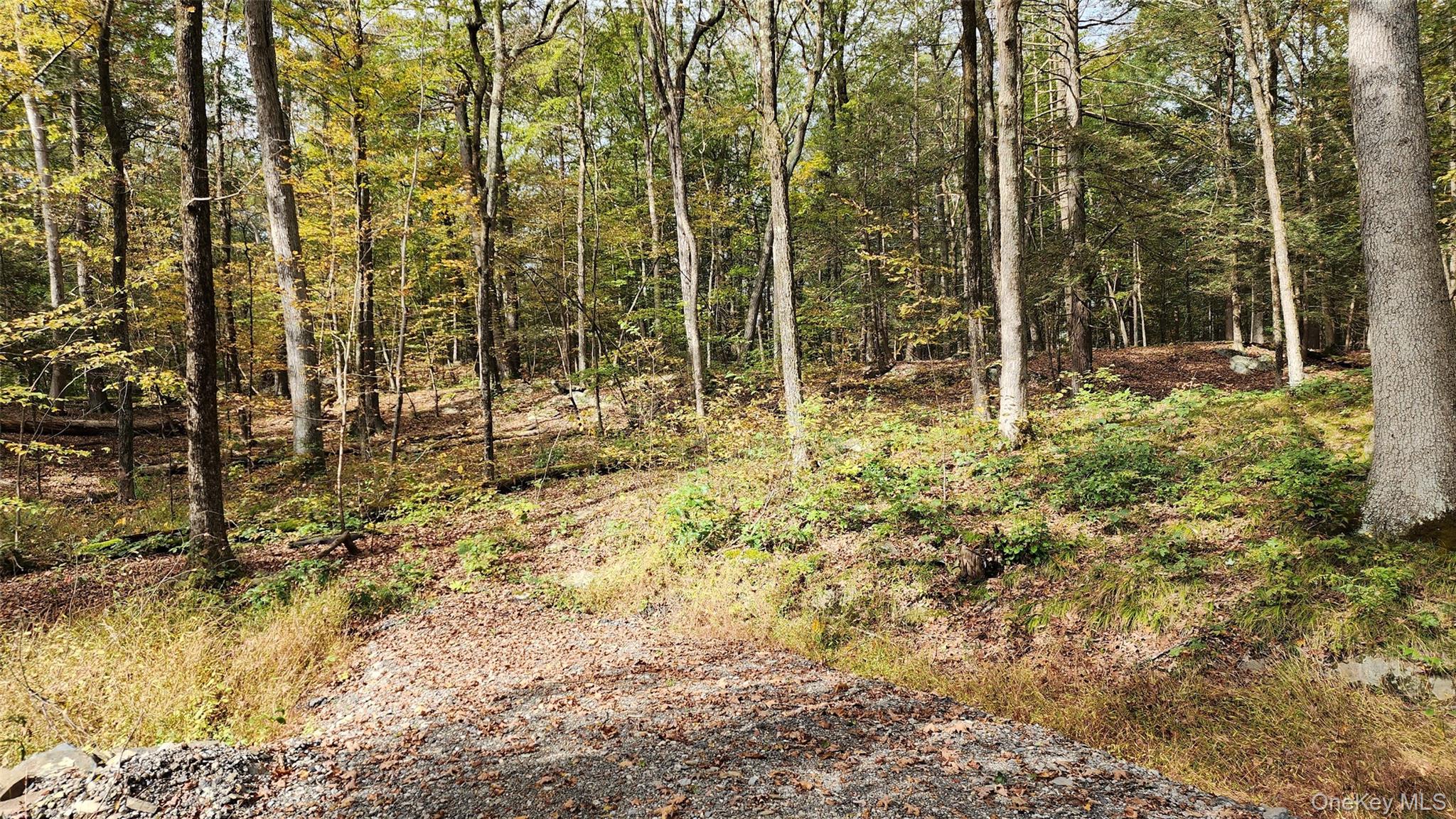 Hyde Park, New York 12538, United States, ,Land,Active,172933