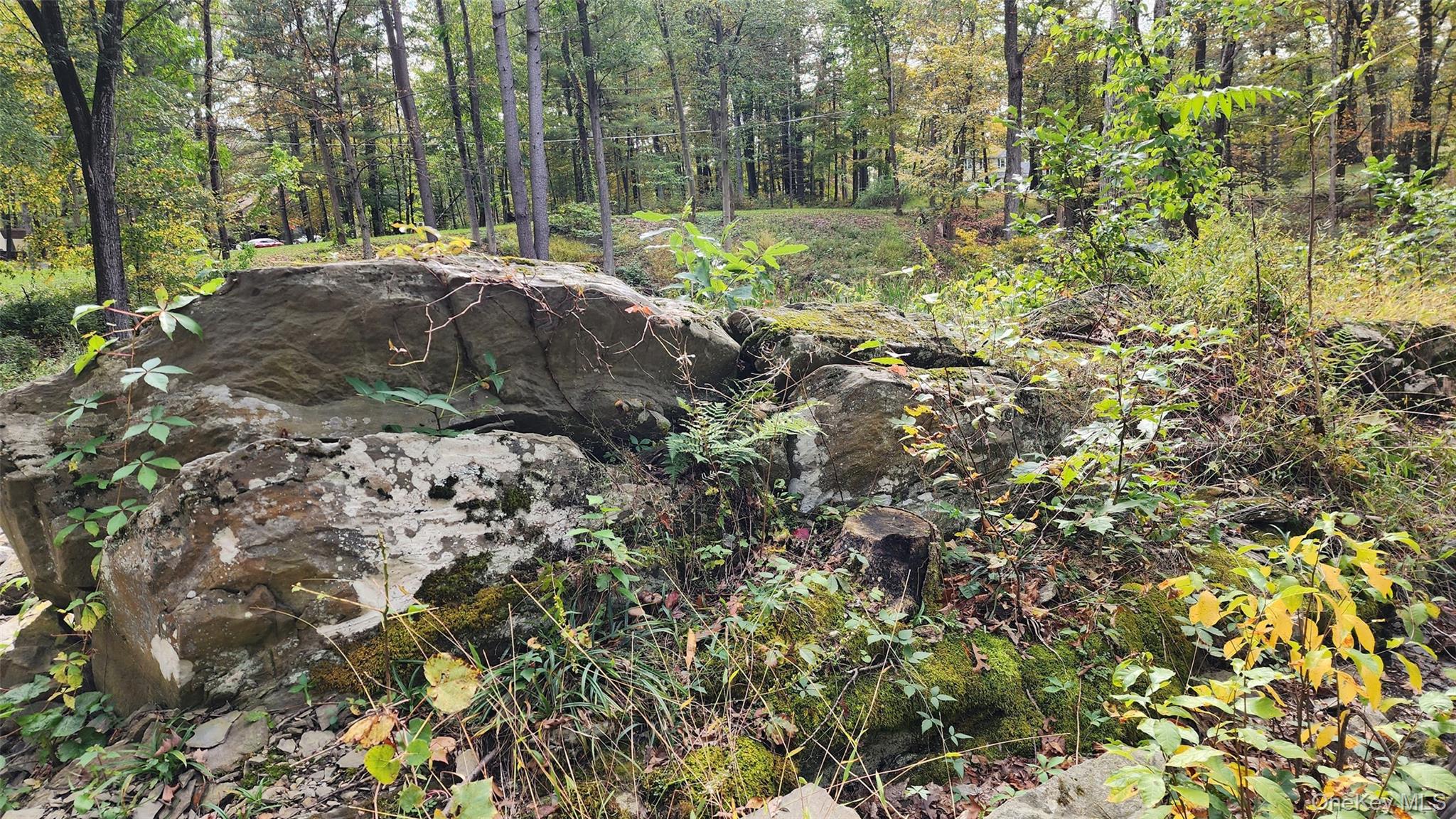 Hyde Park, New York 12538, United States, ,Land,Active,172933