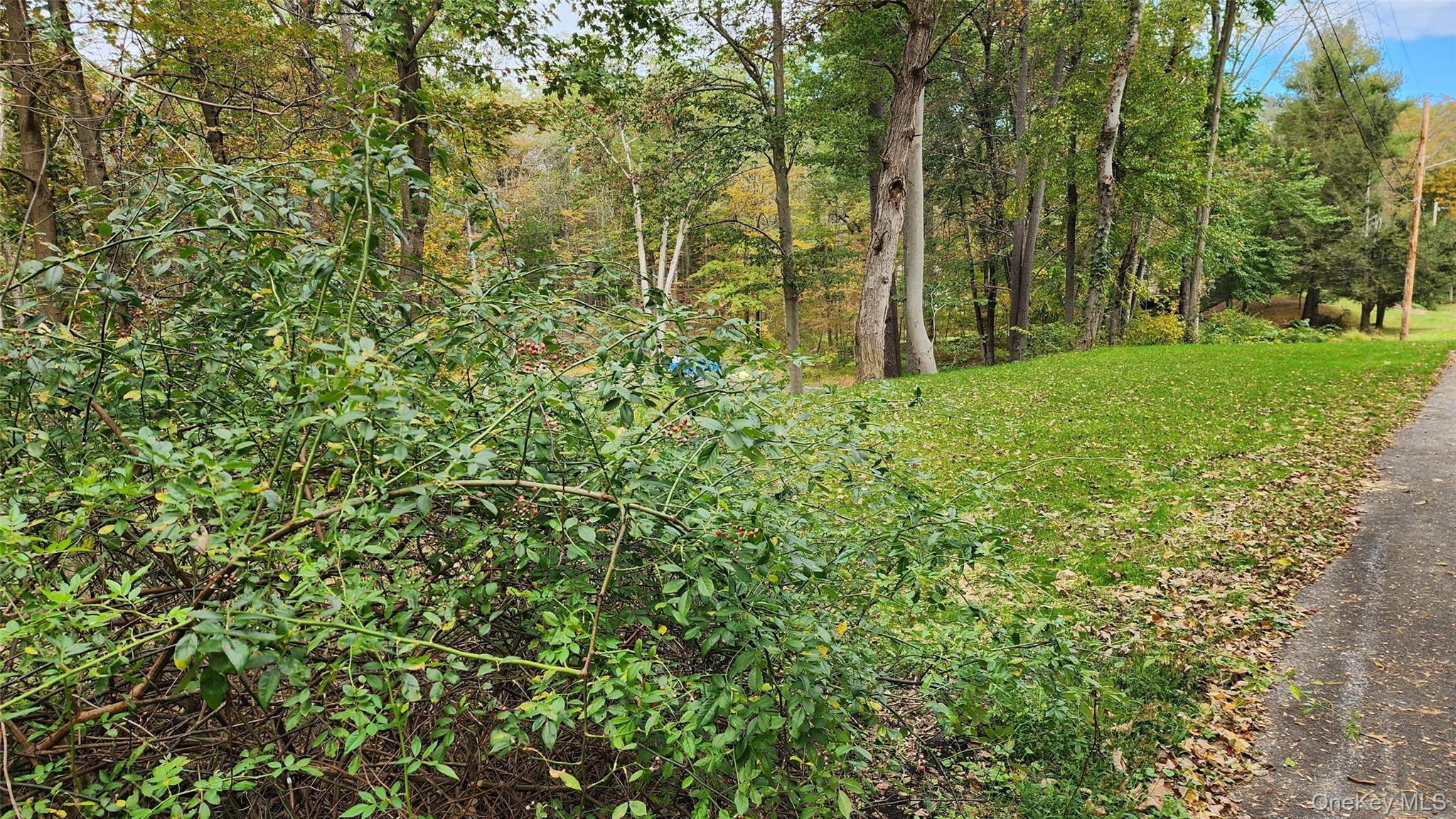 Hyde Park, New York 12538, United States, ,Land,Active,172933