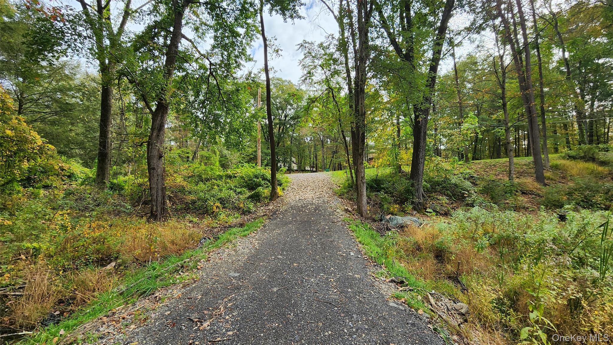 Hyde Park, New York 12538, United States, ,Land,Active,172933