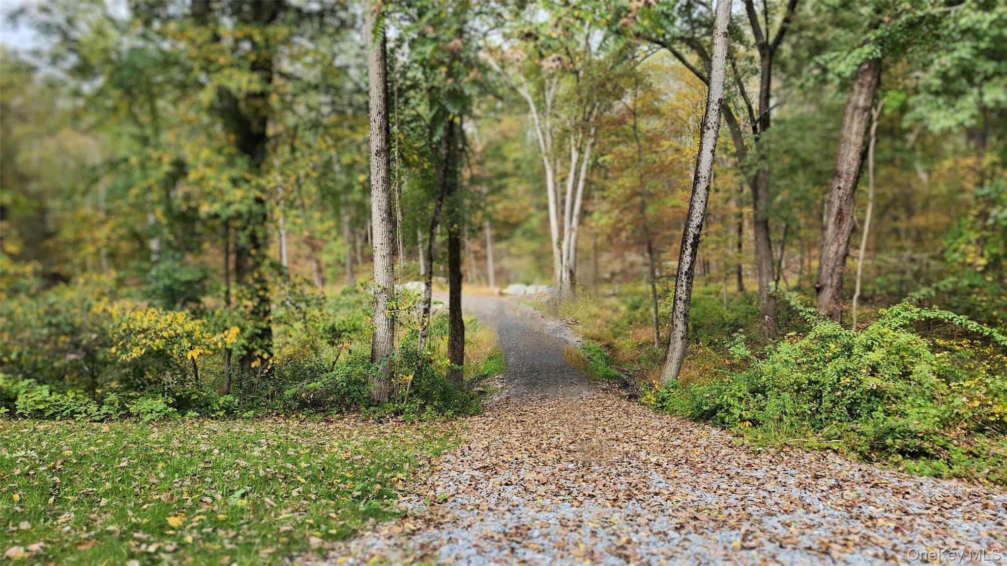 Hyde Park, New York 12538, United States, ,Land,Active,172933