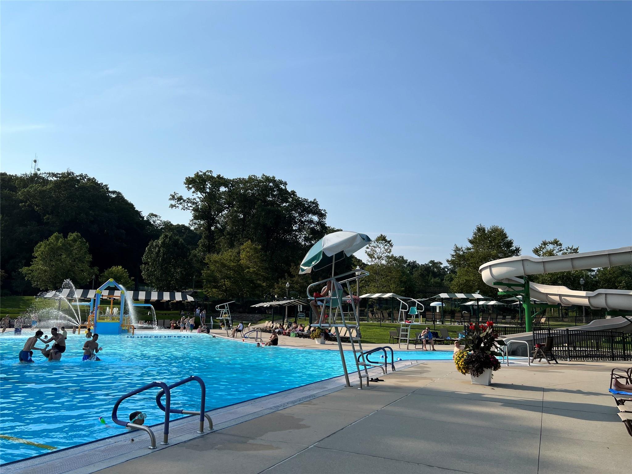 165 Tara Drive, Roslyn, New York image 38