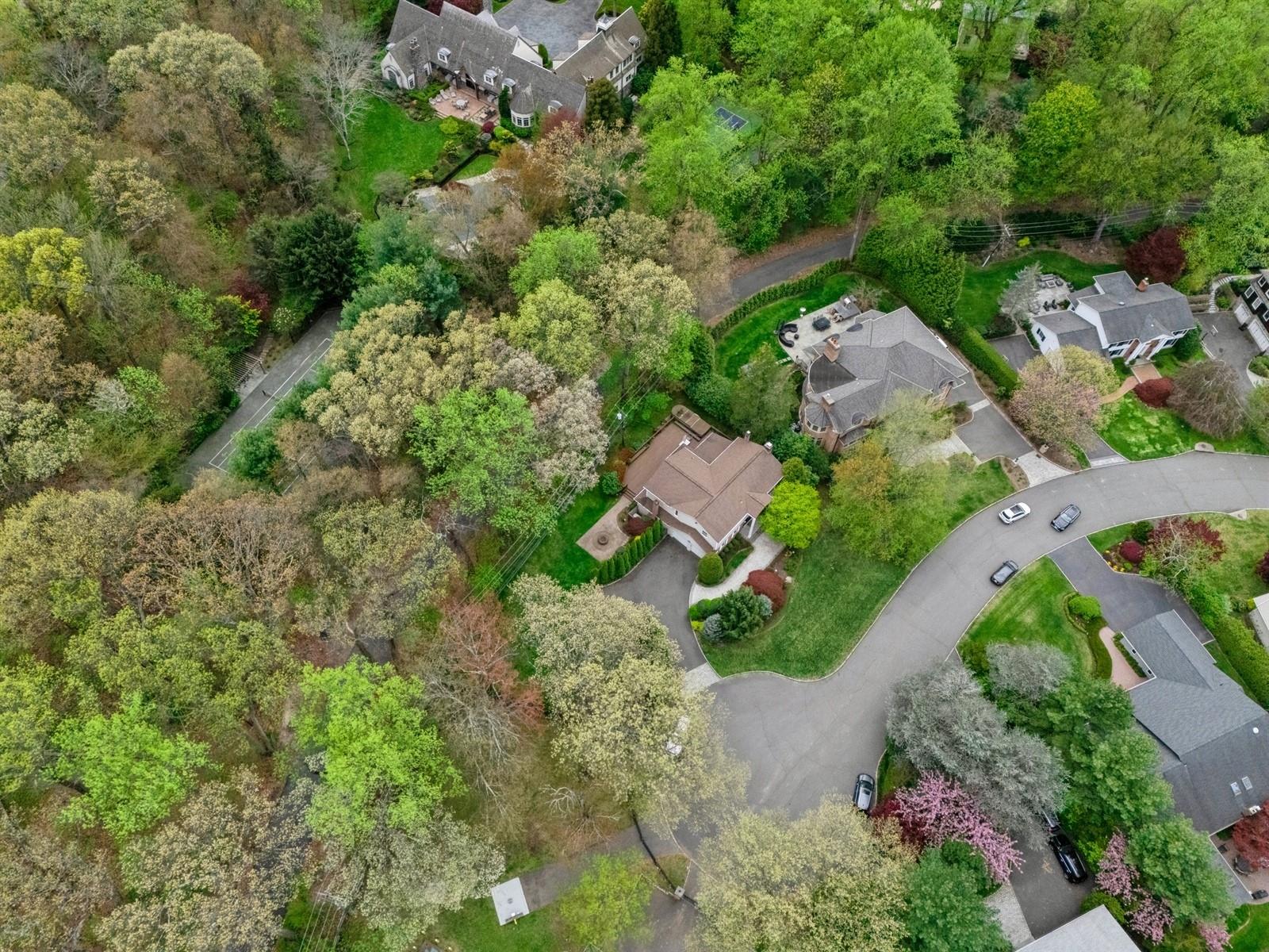 165 Tara Drive, Roslyn, New York image 31
