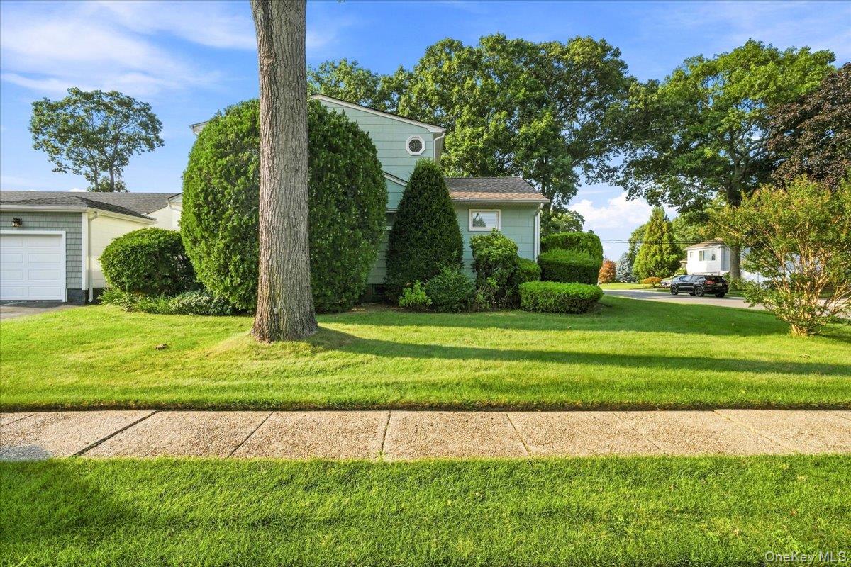 1426 MEADOW Lane