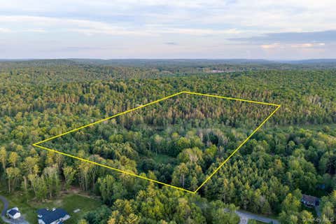 Vacant Land For Sale - Mongaup Road<br/> Monticello, NY 12701