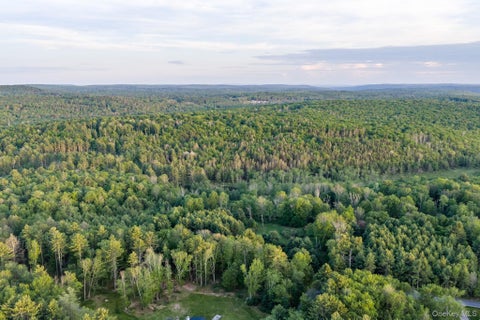 Vacant Land For Sale - Mongaup Road<br/> Sullivan County, Monticello, NY 12701
