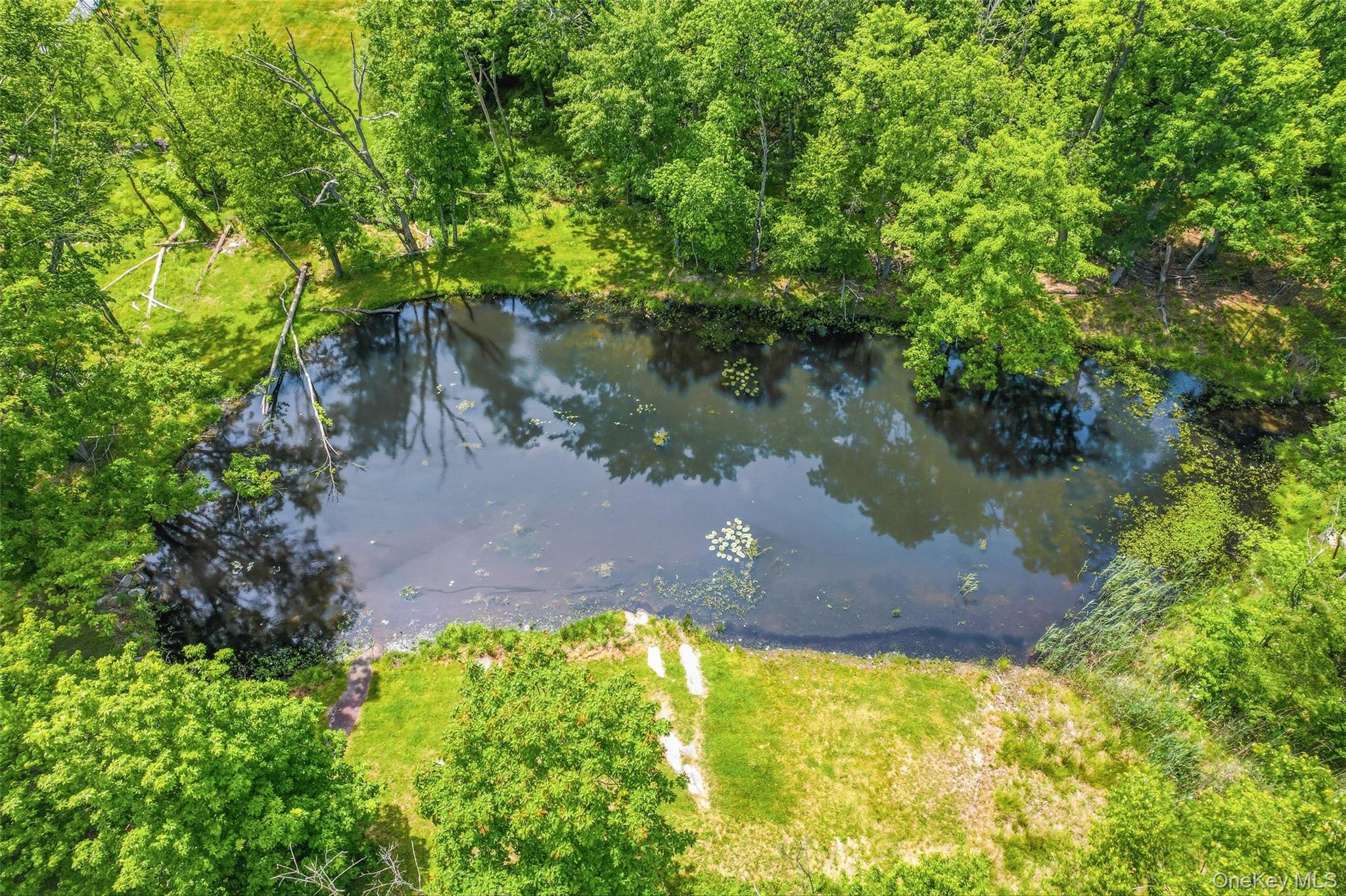 27 Van Tassel Court