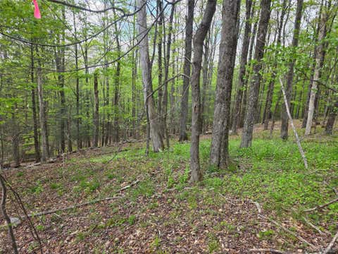 Vacant Land For Sale - Wade Road<br/> Fallsburg, NY 12733