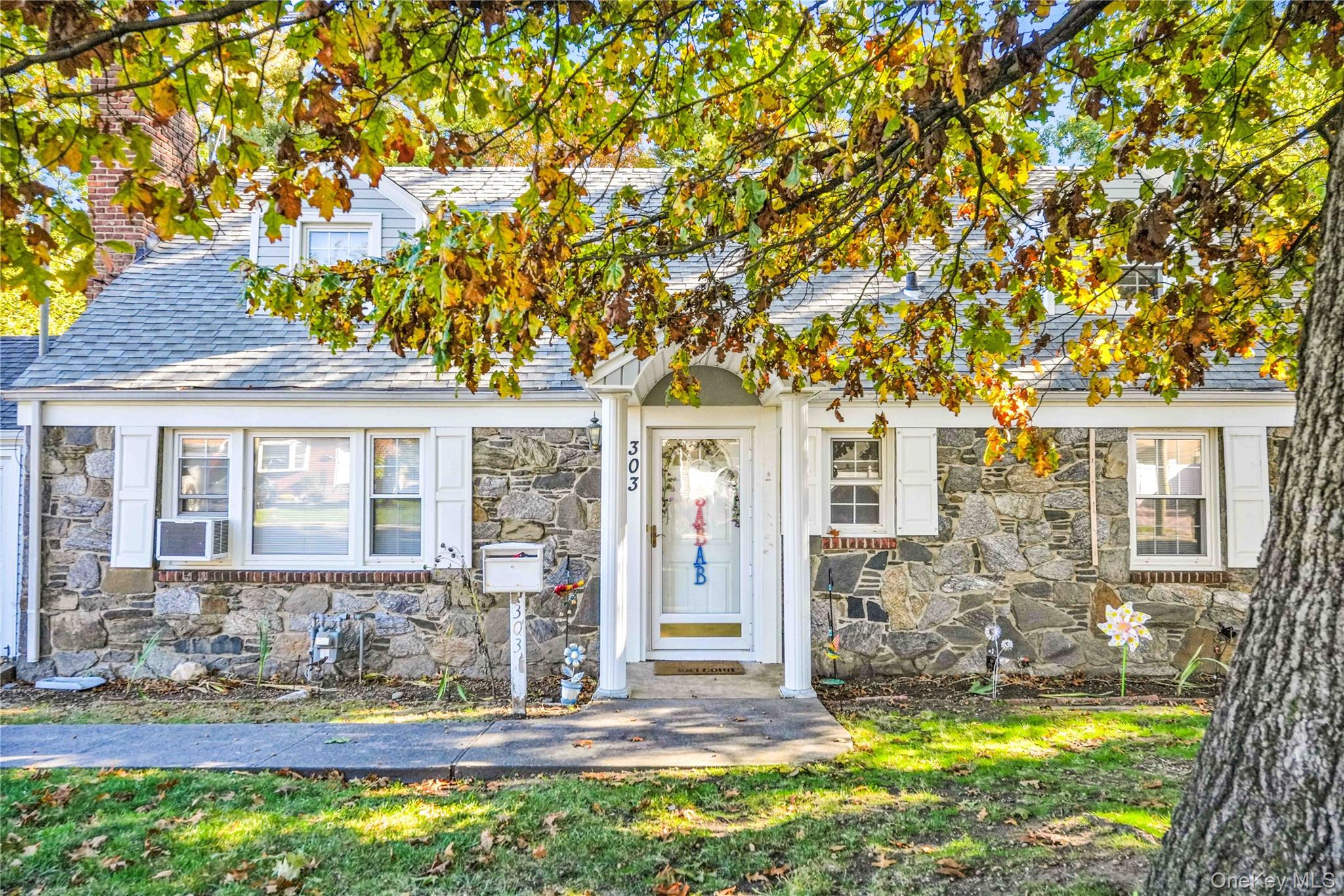 303 Nassau Boulevard