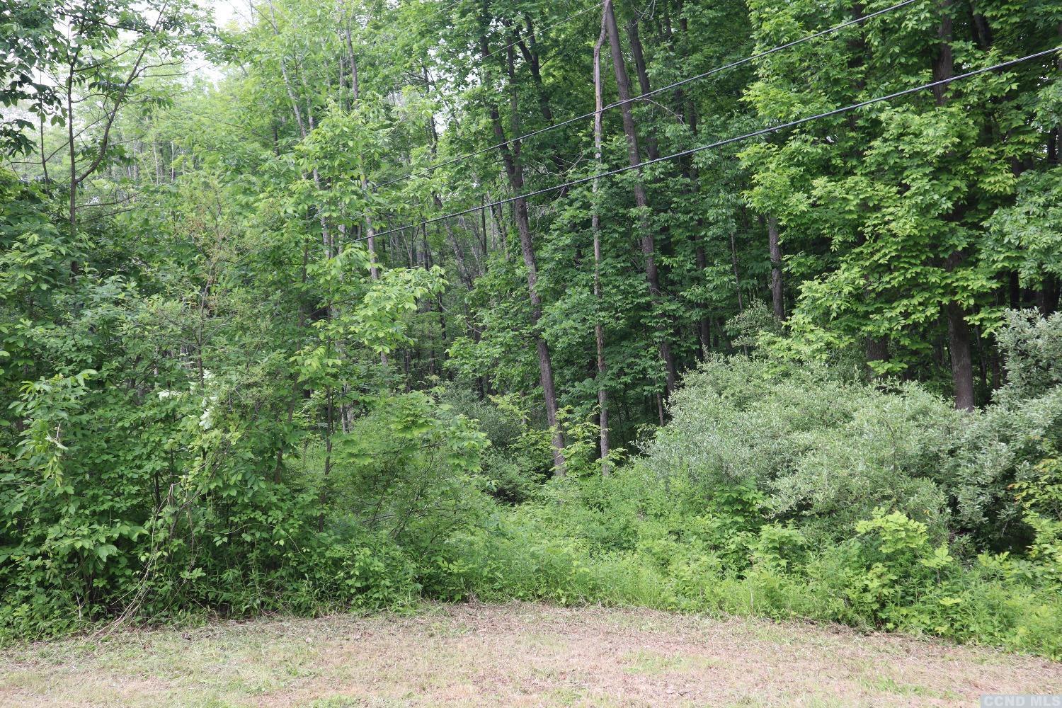 Route 82, Germantown, New York image 3