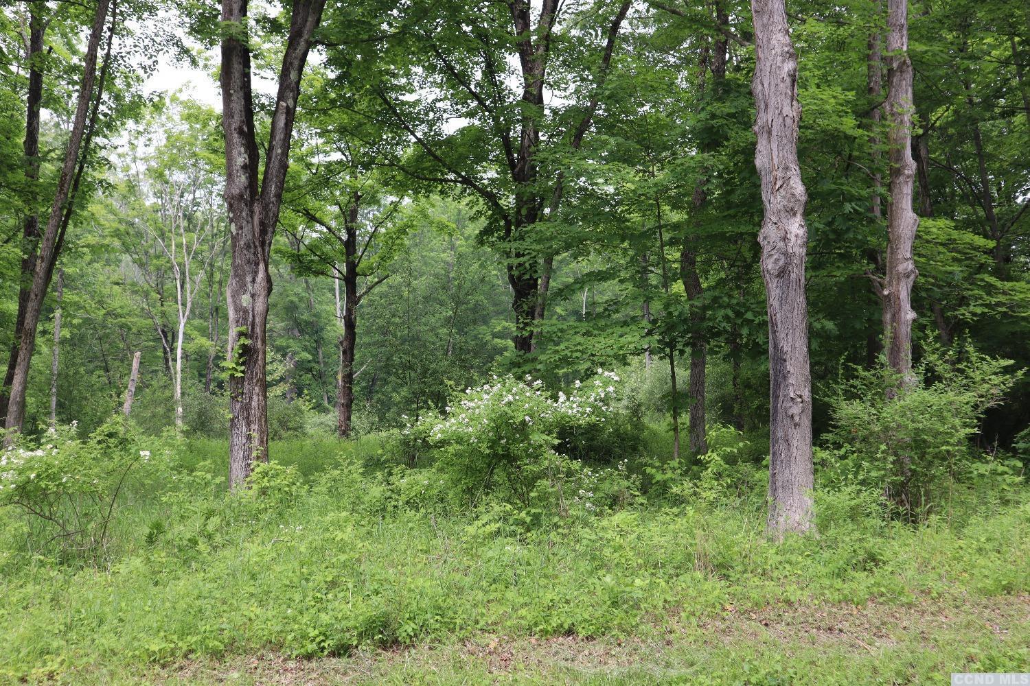 Route 82, Germantown, New York image 2