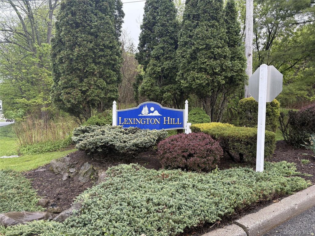 Photo of 27 Lexington Hill #10, Monroe, NY 10926 (MLS # 997441)