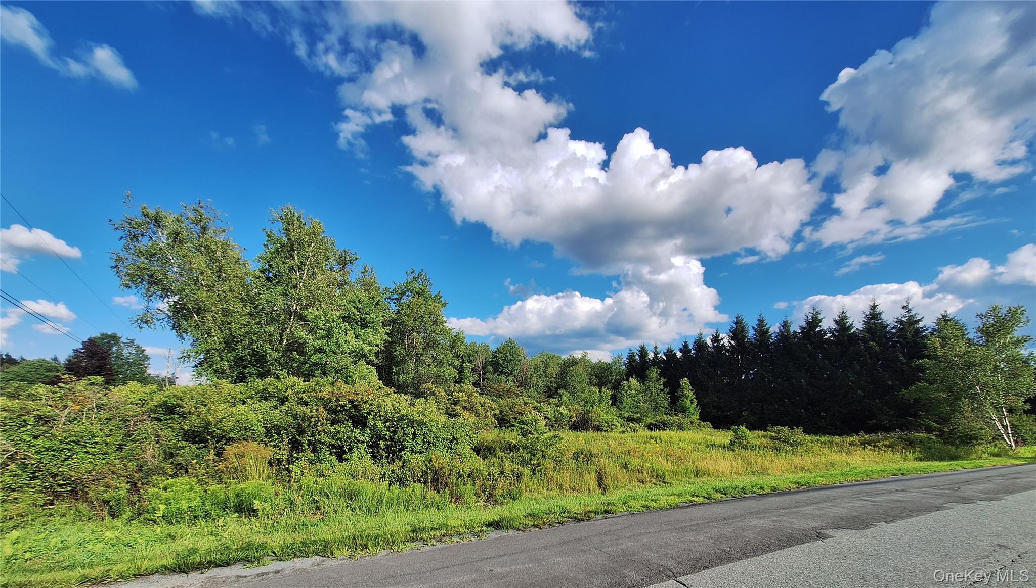 Burnt Ridge Road