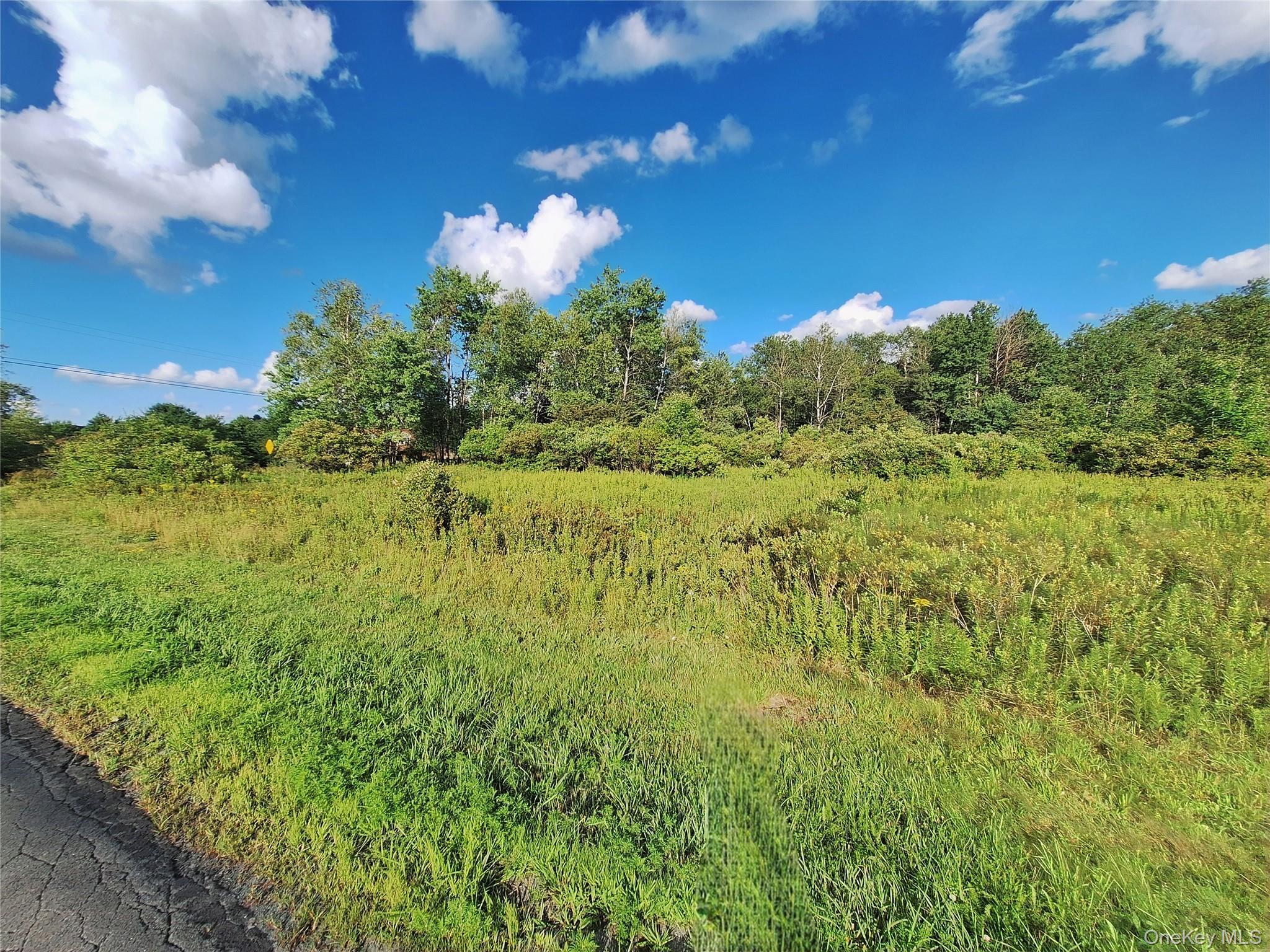 Burnt Ridge Road