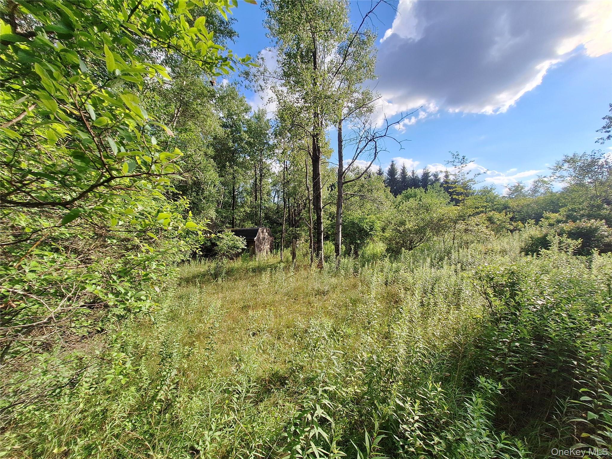Burnt Ridge Road