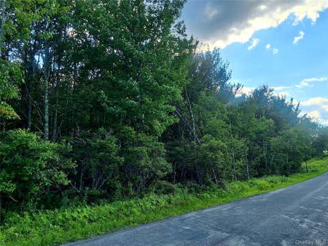 Vacant Land For Sale - Burnt Ridge Road<br/> Fallsburg, NY 12733