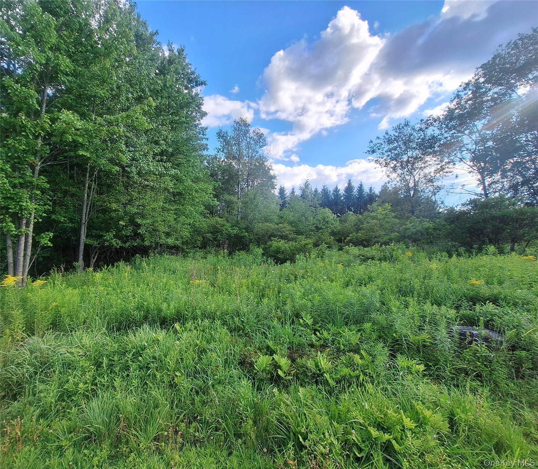 Burnt Ridge Road