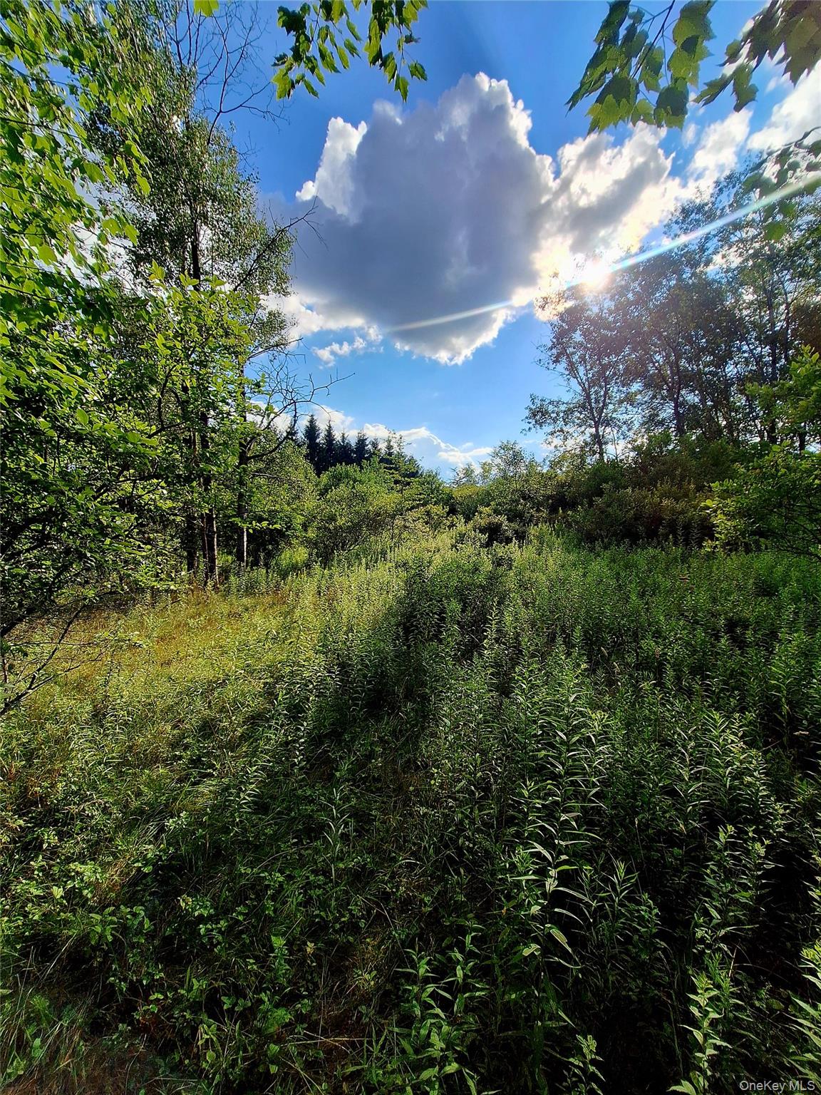 Burnt Ridge Road