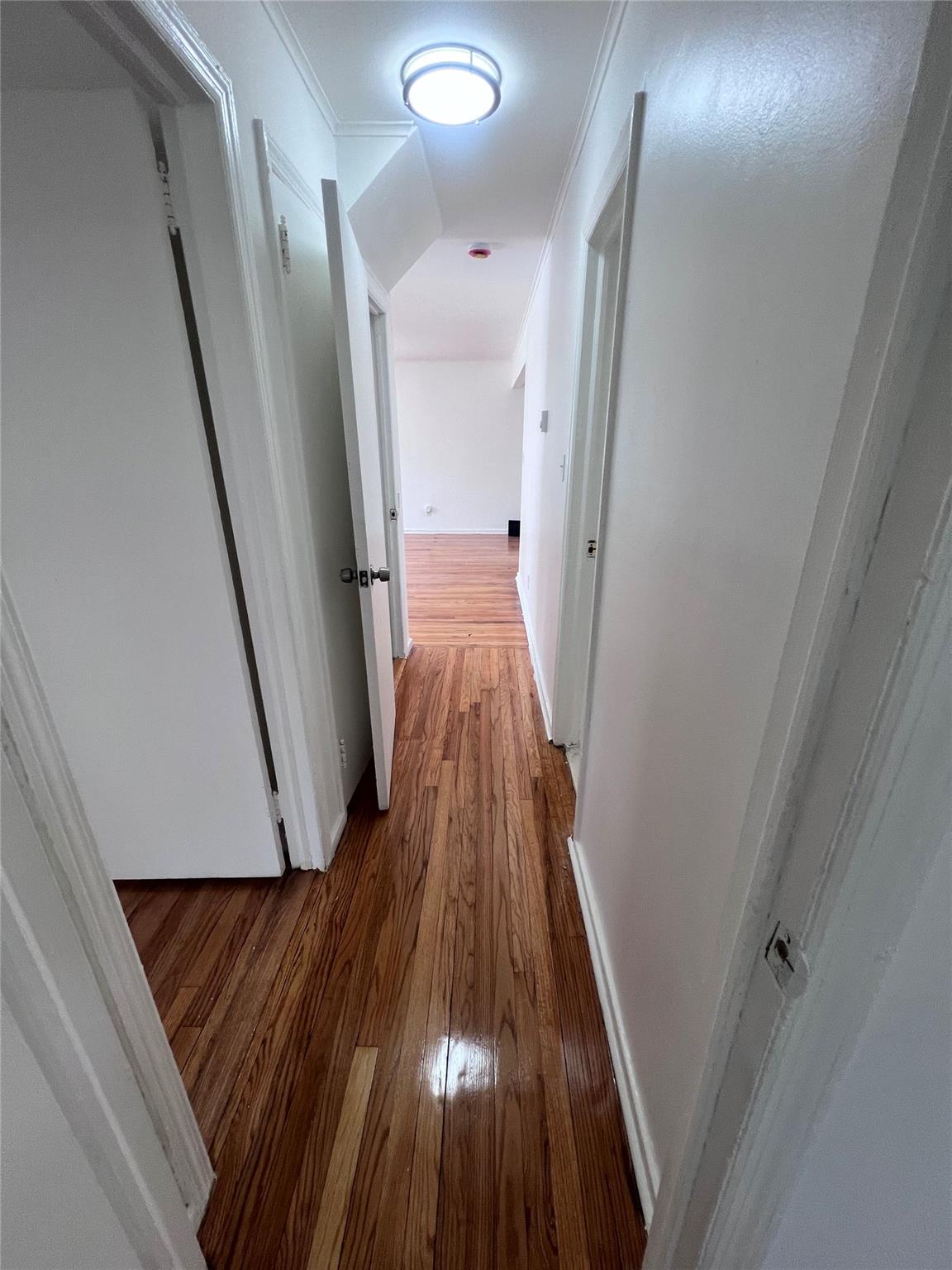 11 Myrtle Avenue, Hempstead, New York image 6