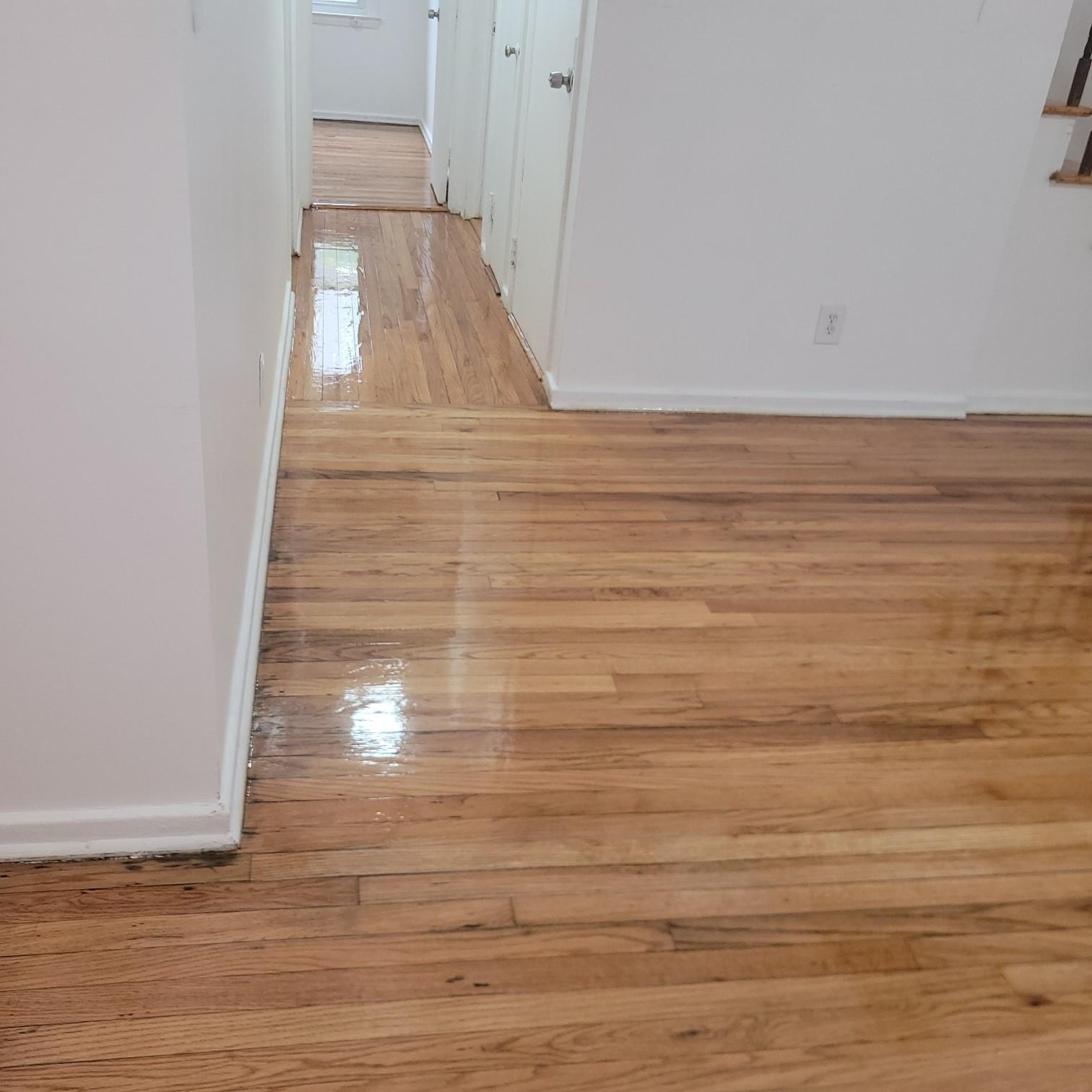 11 Myrtle Avenue