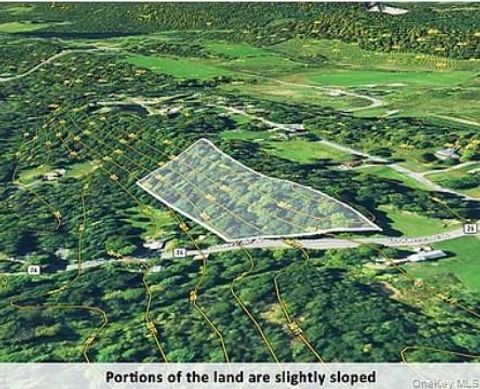 Vacant Land For Sale - 189 County Route 26<br/> Coxsackie, NY 12042