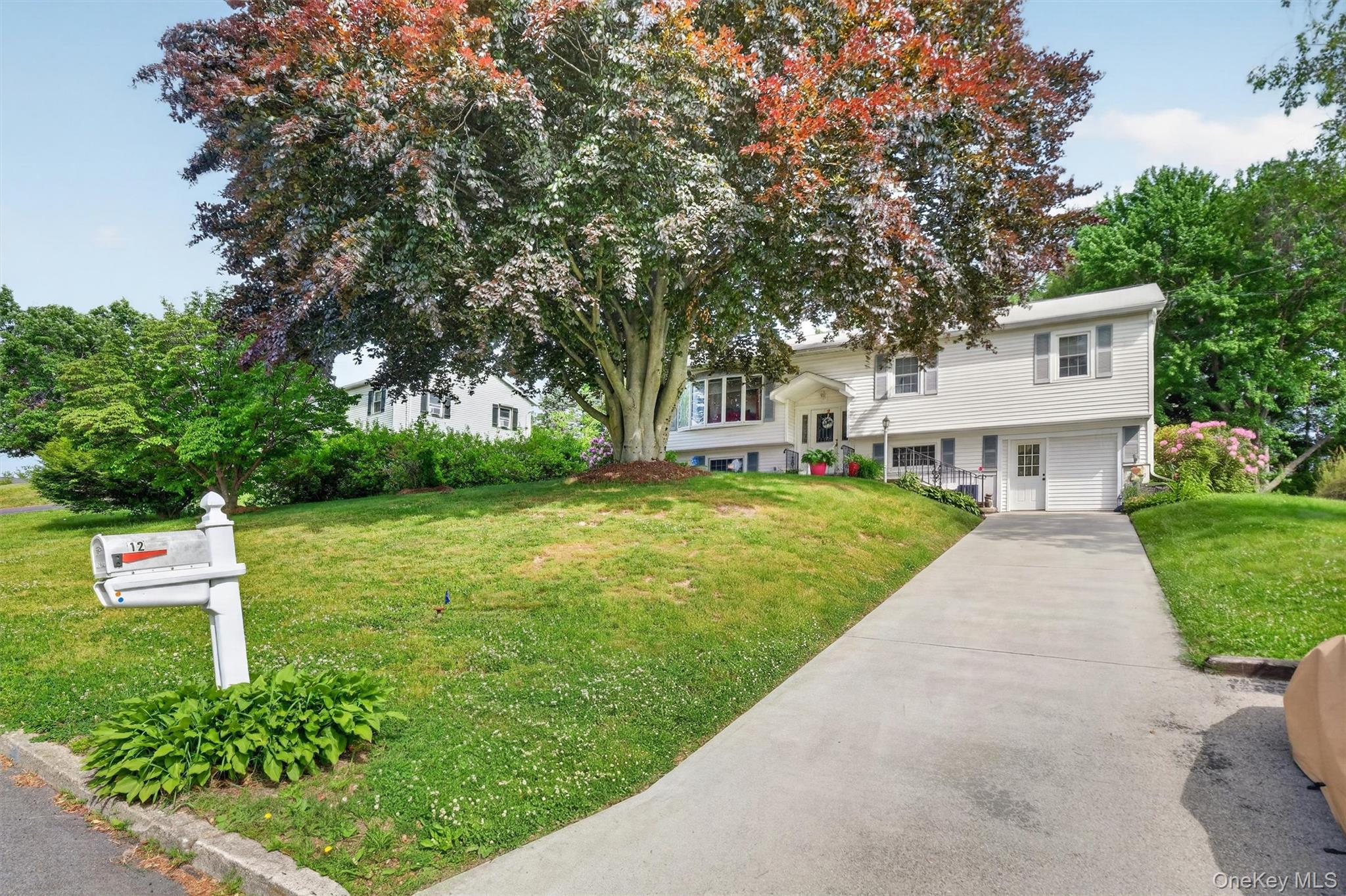 12 Dwyer Lane