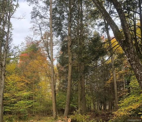 126 Devany Road Ferndale NY 12734