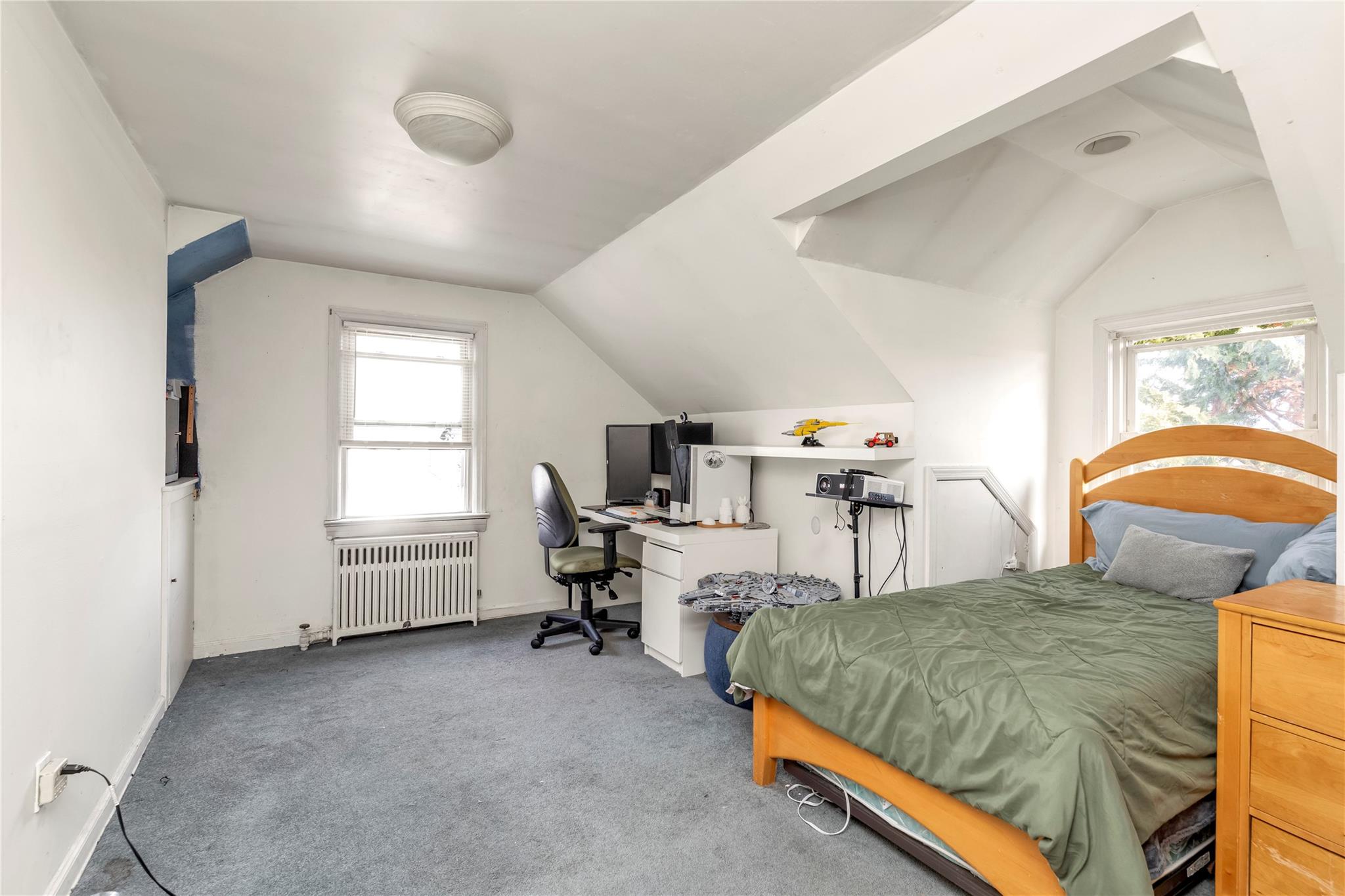 250 Roselle Street, Mineola, New York image 14